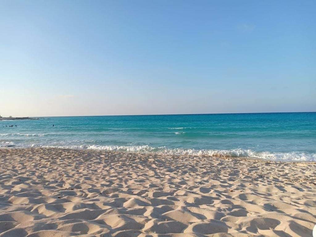 لافيستا رأس الحكمة