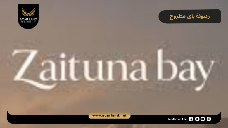 موقع زيتونة باي مطروح 